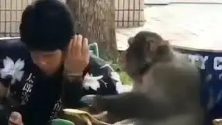 Як шухи кадм