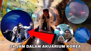 24 JAM MAIN DEKAT AKUARIUM KOREA 😂 ZOO SEMUA JENIS IKAN 🐟 JUMPA PENGUIN DAN DOLPHIN 🐧🐬