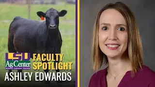 LSU AgCenter Faculty Spotlight -- Ashley Edwards