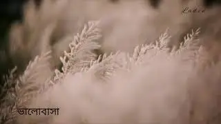 Nil pori nilanjona natok... 😍 Background music 😍😍