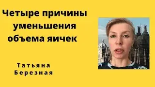 4 причины уменьшения яичек о которой вы не знаете