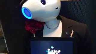 Кайрат Нуртас Жапония