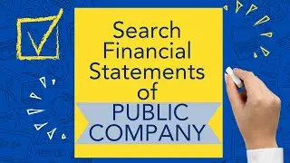 How to search Financial Statements of a Company