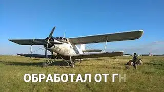 Травят гнус перед выпускным