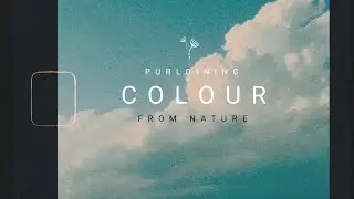 PURLOINING Colour From Nature