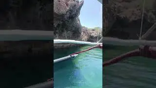 Its nice to sea you .