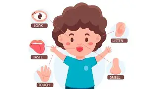 Body Parts | Body Part For Kids | Nursery Rhymes #nose #bodyparts #hand