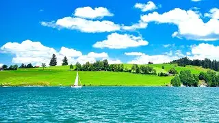 Красивая Музыка Для Раздумий, Подводный мир в красном море!!! Послушайте...