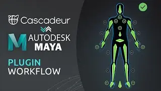 Cascadeur to Autodesk Maya | Bridge Plugin Workflow Tutorial