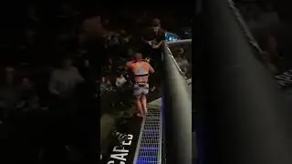 Безумные  нокауты в UFC 2022 года Часть 4 #ufc #mma #хабиб #shorts #short