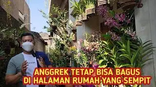 HALAMAN SEMPIT, ANGGREK DI DEPAN RUMAH TETAP BISA BAGUS