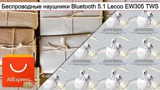 Беспроводные наушники Bluetooth 5.1 Lecoo EW305 TWS | 