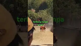 terbang tanpa sayap
