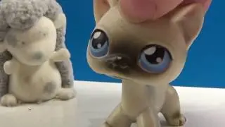 LPS история Тайка)