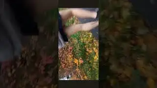 больше переживает за обувь ....