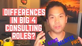 Big 4 Consulting: Difference between Associate, Manager, Partner roles/responsibilities