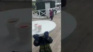 ВДНХ, ферма.