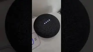 Google Home vs.Alexa: How smart are you?