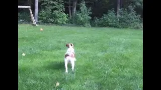 me and my mom playing with my dog ginny