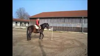 Esra Ruhland Klassische Dressur Gymnastik 1