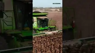 Кожен аграрій має відчути кайф від ії сили та краси в полі! 🌻❤️‍🔥 #жнива2024 #жнивасоняшник