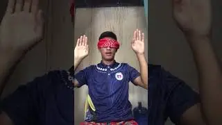 Article11