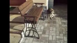 Скамейка из швейной машины