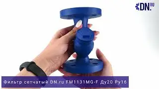 Обзор Фильтра Сетчатого DN.ru FM1131MG-F | Ду20 Ру16 | Чугунный, Фланцевый