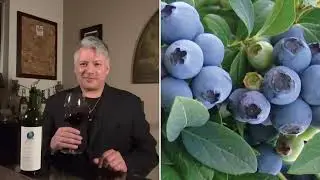 Opus One Napa Valley 2018 Wine Review by Wine Director Tony Del Sol