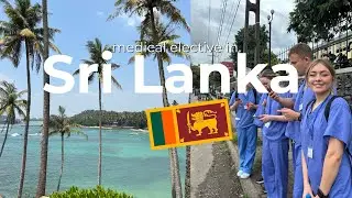Sri Lanka VLOG | settling into placement and exploring the south coast 🌴🌊🥥