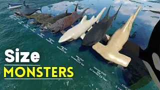Ultimate Biggest Sea Monsters SIZE Comparison 3D: Bloop Vs El Gran Maja Vs Kraken
