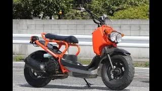 Honda Zoomer. Капиталим 