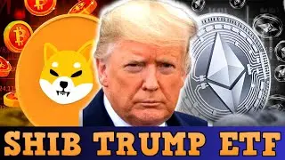 SHIB, SHIBARIUM LAUNCH & MEME COINS