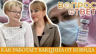 Вопрос-ответ: как работает вакцина от коронавируса