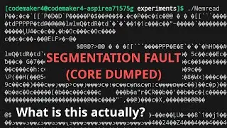 Segfaults are annoying and important. But what are they actually?