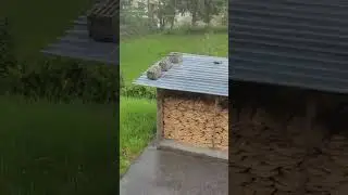 raining