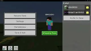 Anti invis skins in Minecraft bedrock
