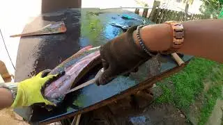 Garfish cutting with Vsay