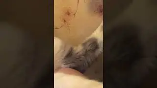 Меня Звать Вася ￼
