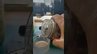 чудесные овощные напитки на зиму