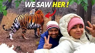 Panna Tiger Reserve Safari | Tiger Viewing India | Tiger Sighting India | Bonkers Note
