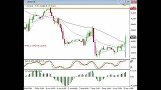 Day Trading Crude Oil and Forex- Forex Trading Signals