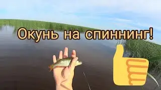 Рыбалка на хищника! Рыбалка на спиннинг!