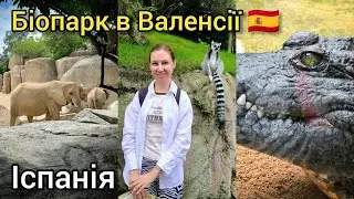 НАЙКРАЩИЙ не ЗОО ПАРК В МОЄМУ ЖИТТІ 🐘Bioparc Valencia – СЛЬОЗИ ВІД ЕМОЦІЙ 😭 Влог тревел блогера