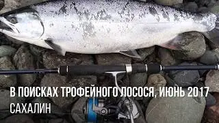 Трофейная сима. Лангери, Сахалин.
