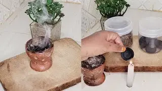 Maajabu Makubwa Sana Ya Kuchoma Karafu + Habbat soda nyumbani kwako ‼️😱🔥🔥🔥