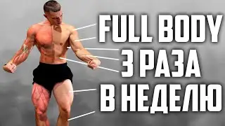 FULL BODY ПЛАН 3 РАЗА В НЕДЕЛЮ!