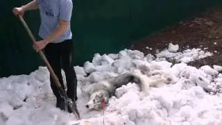 Семейный субботник.