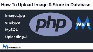 Upload Image In Database In PHP | Urdu & Hindi