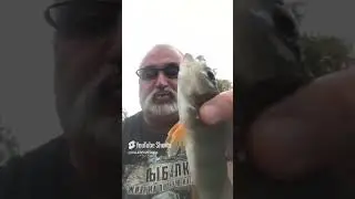 KILLER FISH 007 !!! TAGANKA 2023 !!! #fishing #commoncarp #carpworld #freshwaterfish #carpfish